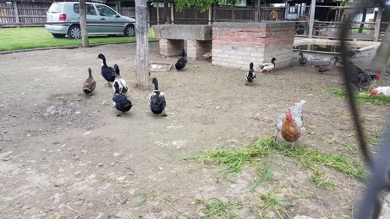 Acin Salas Tordinci Esterno foto