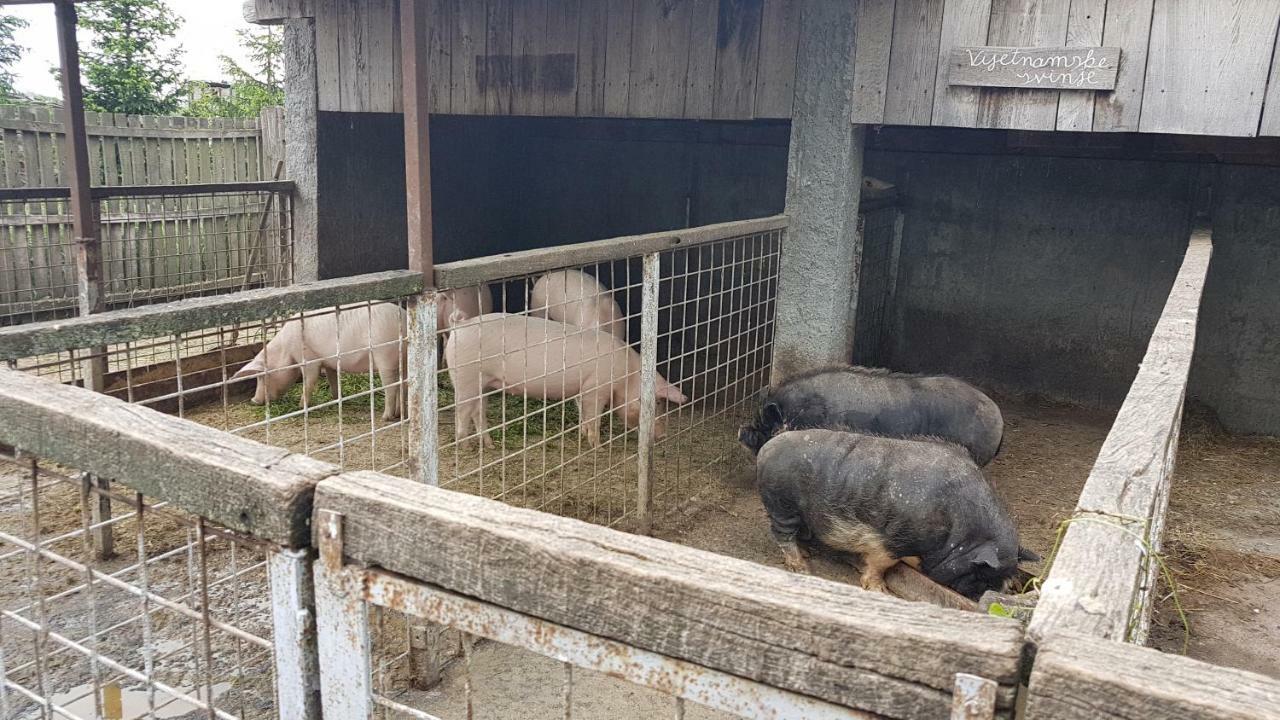 Acin Salas Tordinci Esterno foto