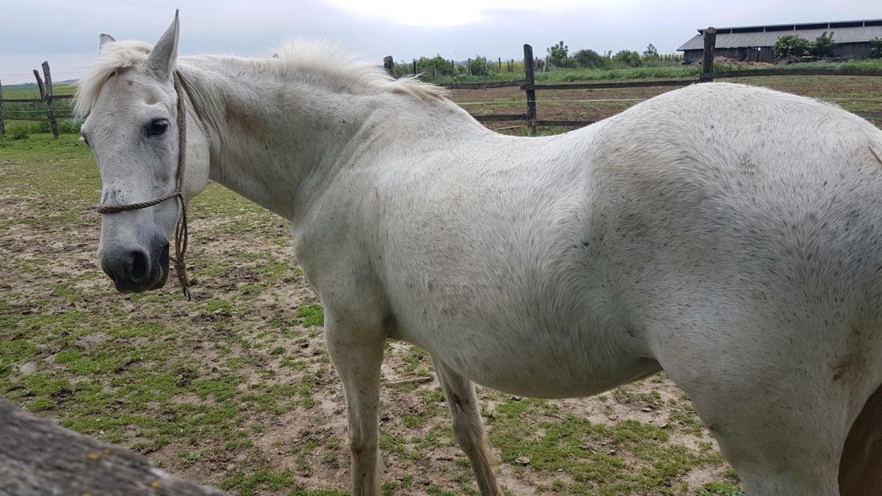 Acin Salas Tordinci Esterno foto