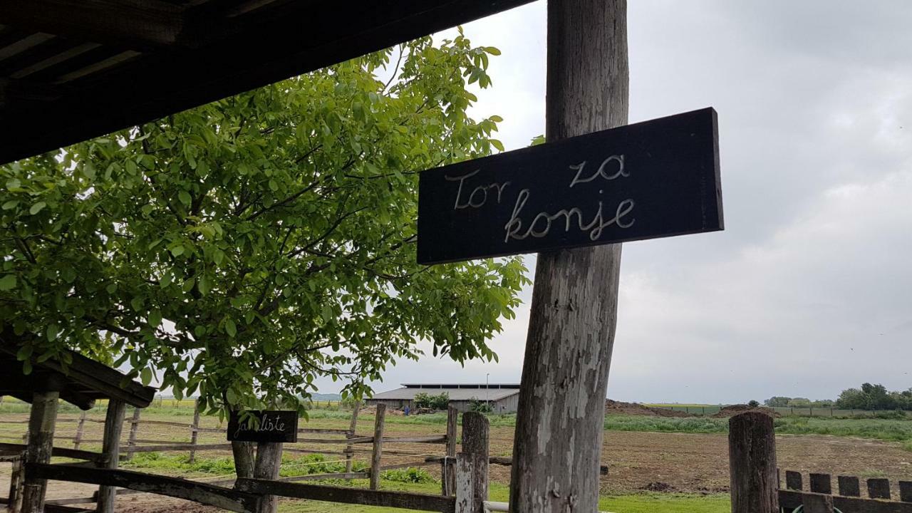 Acin Salas Tordinci Esterno foto